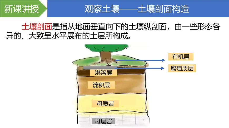 人教版高中地理必修 第一冊 5-2《土壤》課件第6頁