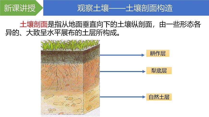人教版高中地理必修 第一冊 5-2《土壤》課件第7頁