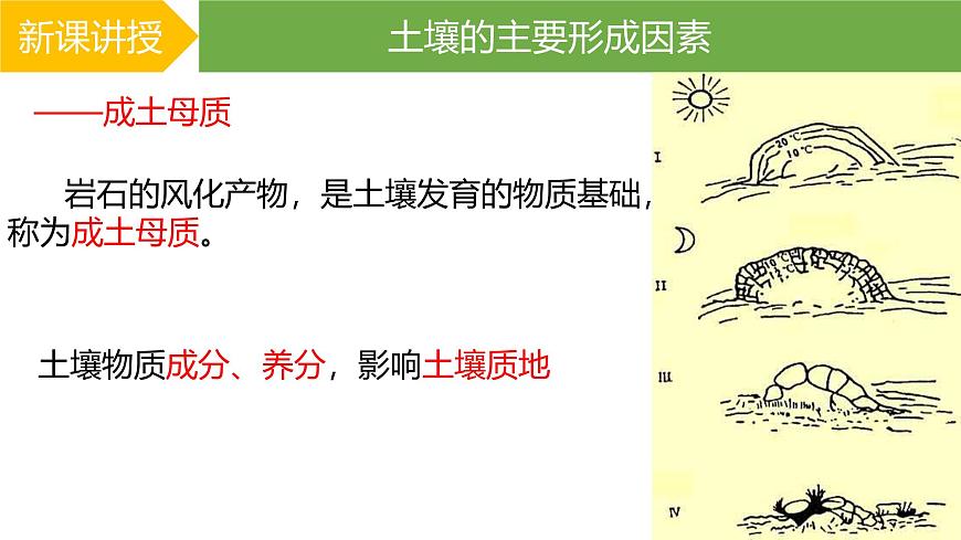 人教版高中地理必修 第一冊 5-2《土壤》課件第8頁