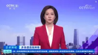 必修 第一册如何让城市不再“看海”课文内容课件ppt