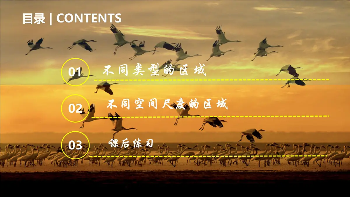 人教版高中地理选择性必修2 1-1多种多样的区域 课件第6页