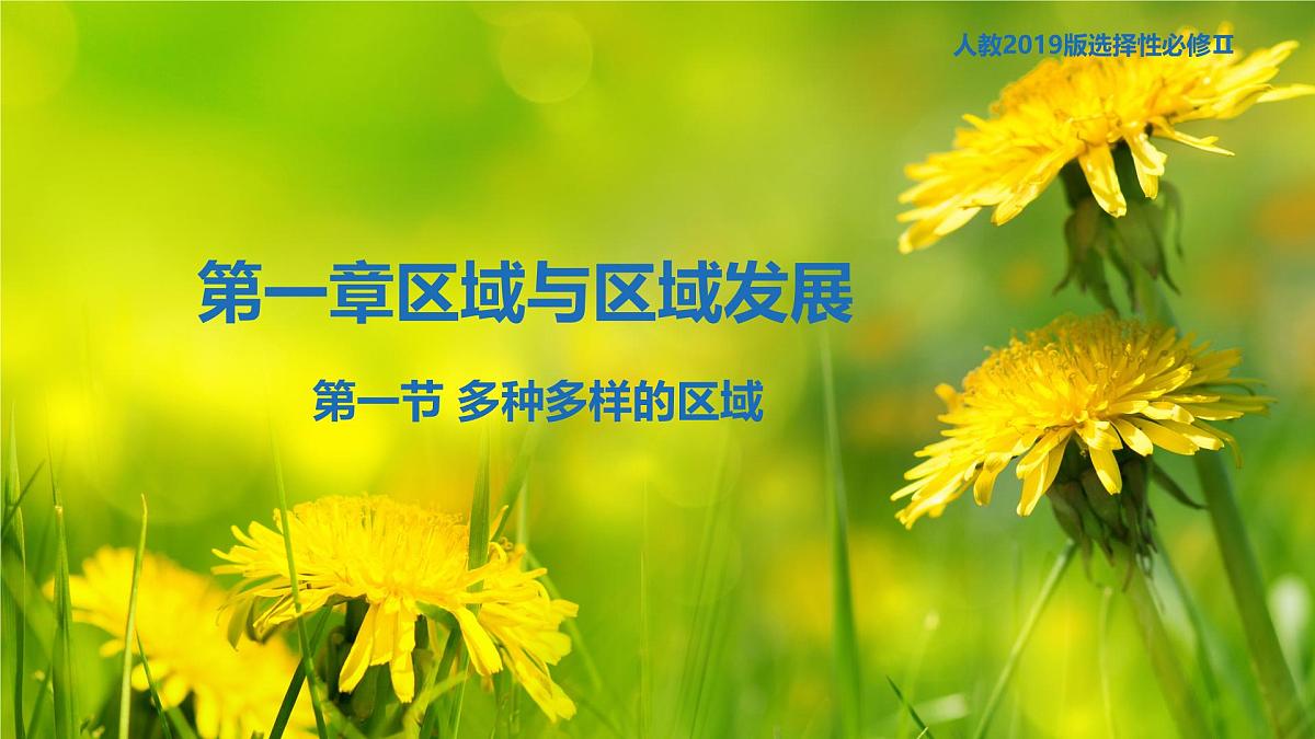 人教版高中地理选择性必修2 1-1《多种多样的区域》(第1课时)课件第1页