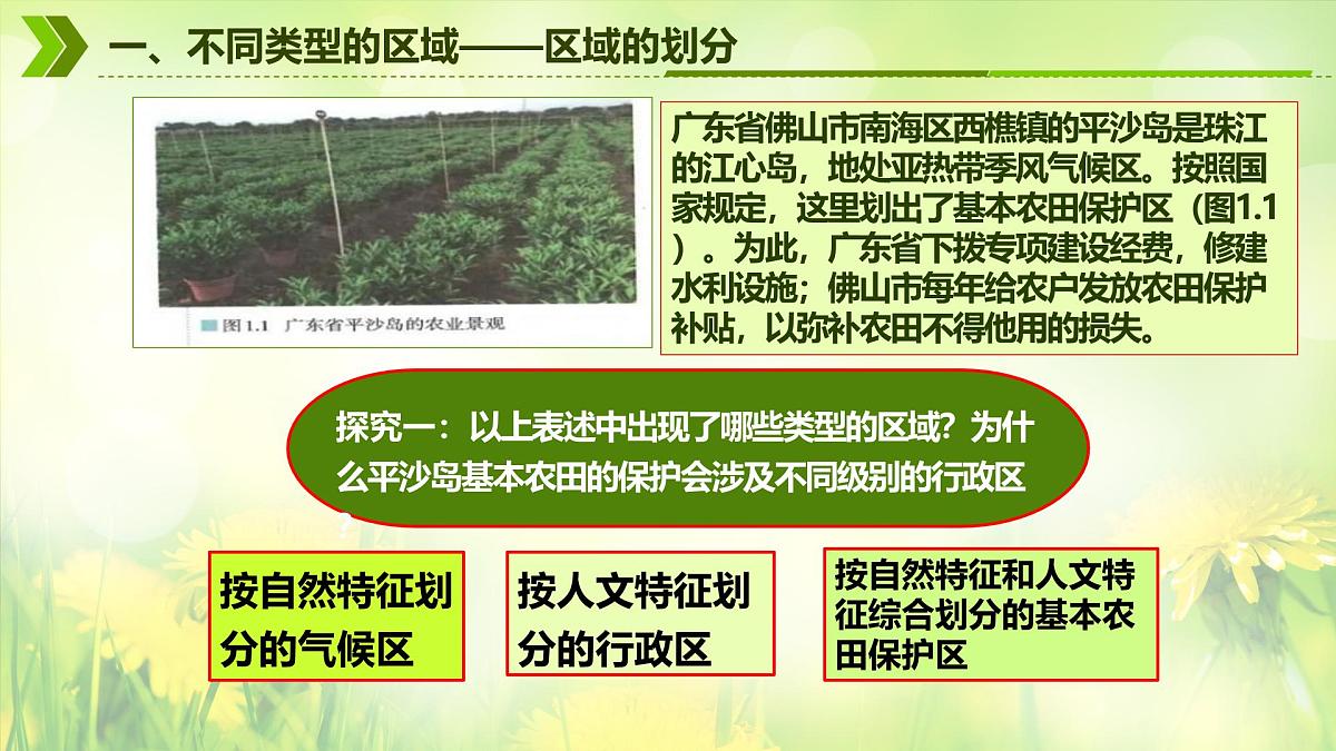 人教版高中地理选择性必修2 1-1《多种多样的区域》(第1课时)课件第8页