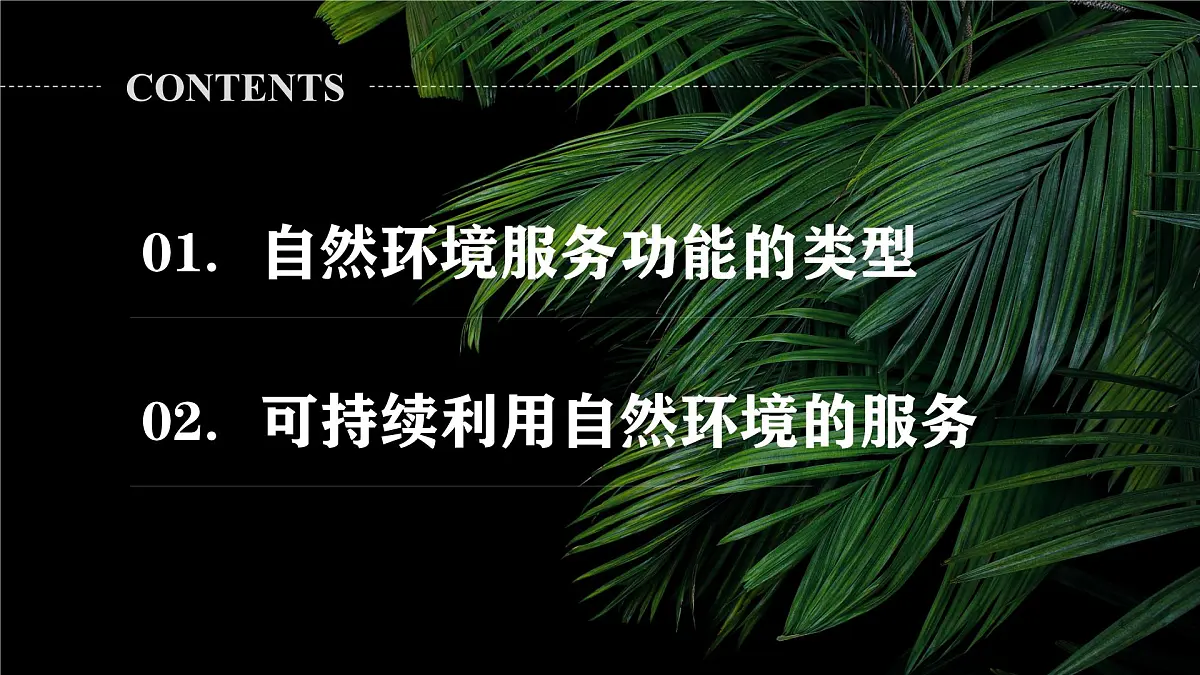 人教版高中地理选择性必修3 1-1《自然环境的服务功能》课件第4页