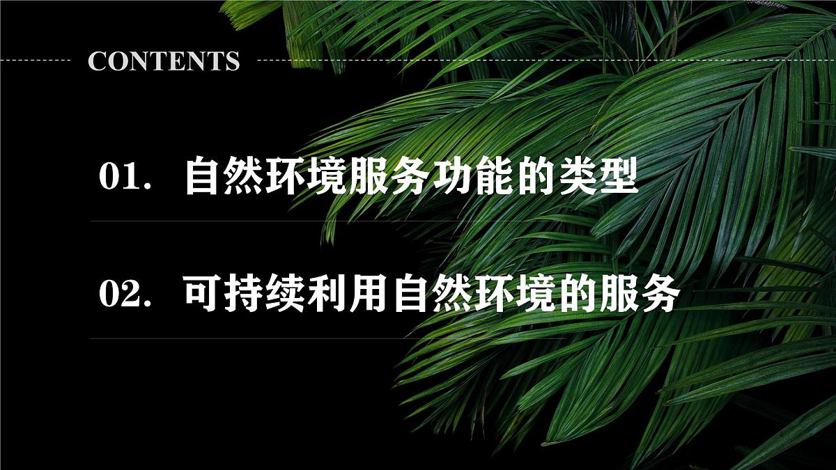 人教版高中地理选择性必修3 1-1《自然环境的服务功能》课件第4页