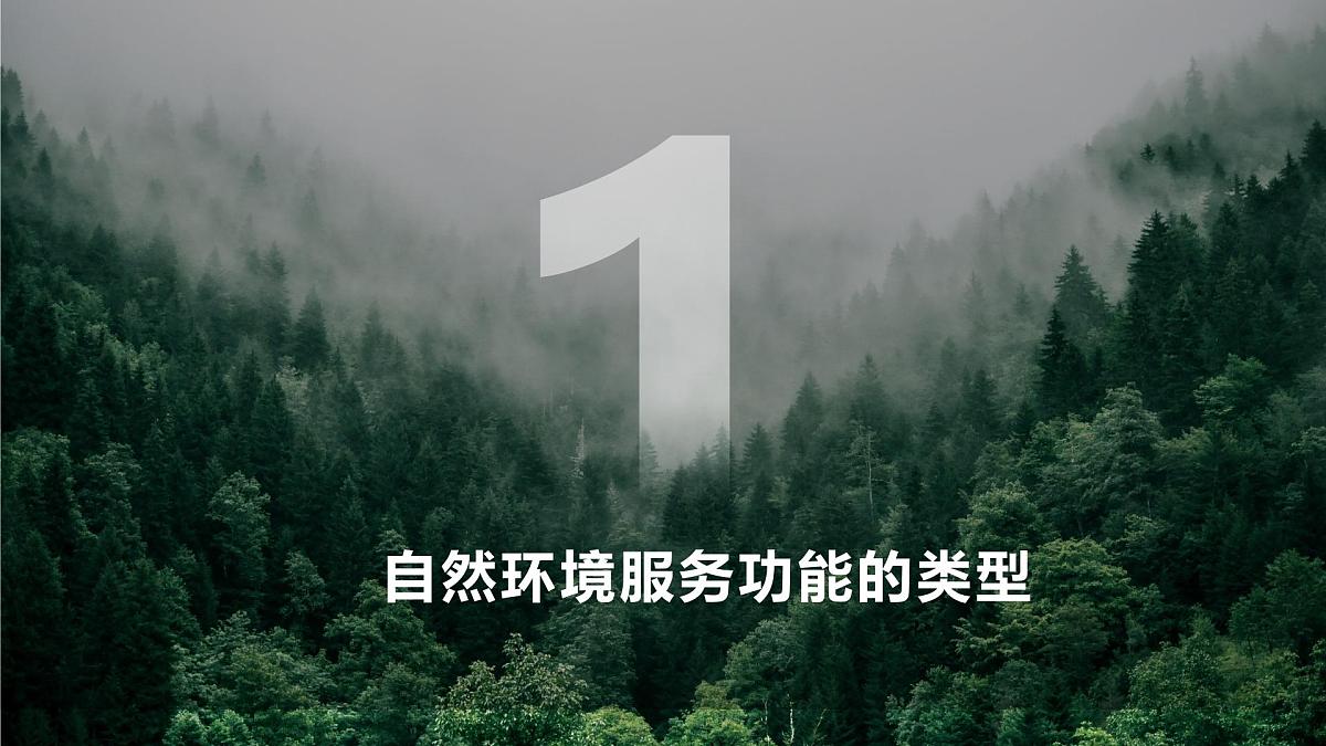 人教版高中地理选择性必修3 1-1课件《自然环境的服务功能》第3页