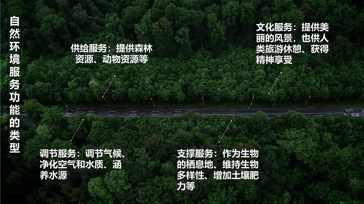 人教版高中地理选择性必修3 1-1课件《自然环境的服务功能》第5页