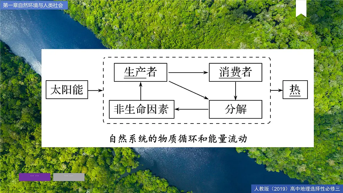 人教版高中地理选择性必修3 1-2《环境问题及其危害》课件第7页