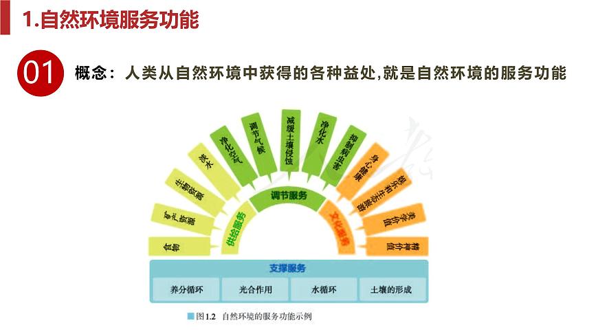 人教版高中地理選擇性必修3 第一章自然環(huán)境與人類社會(huì)復(fù)習(xí)課件第6頁