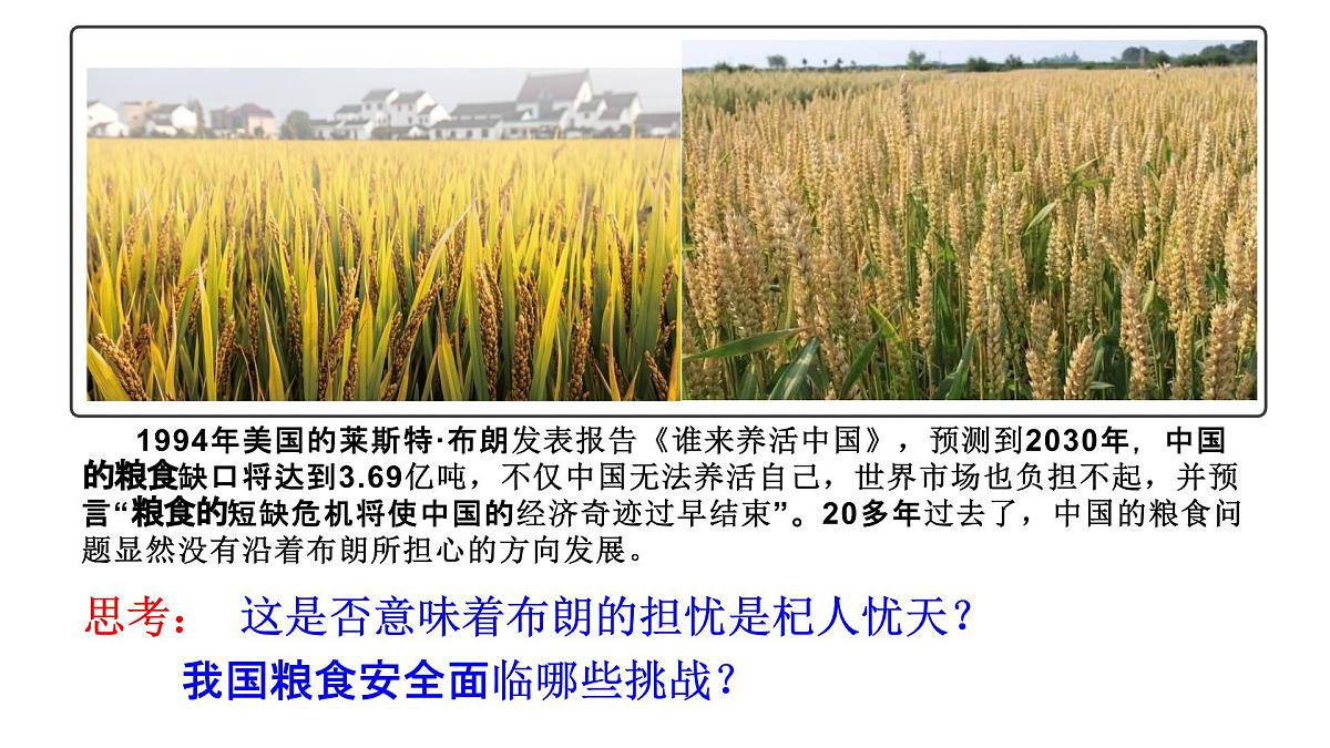 人教版高中地理选择性必修3 2-1中国的耕地资源与粮食安全教学课件第3页