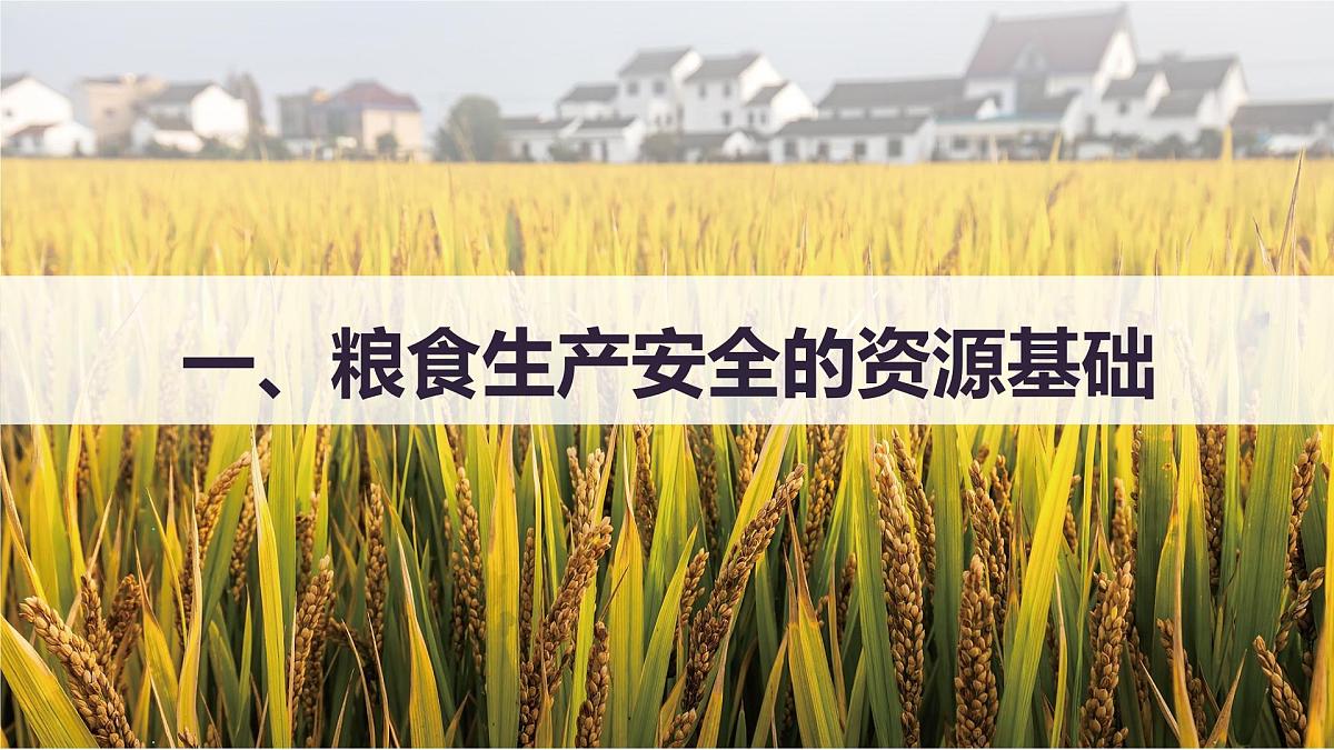 人教版高中地理选择性必修3 2-1中国的耕地资源与粮食安全教学课件第4页