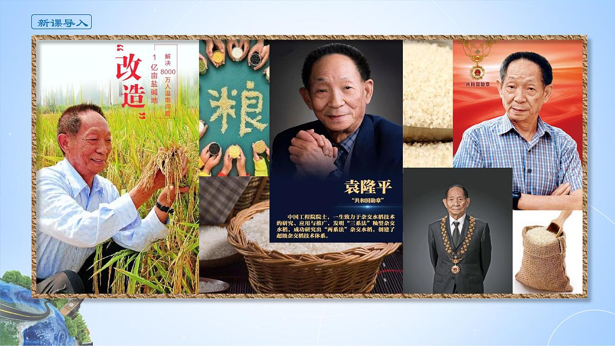 人教版高中地理 选择性必修3 2-3课件《中国的耕地资源与粮食安全》第2页