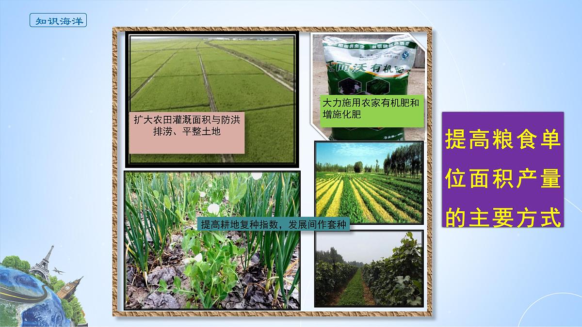 人教版高中地理 选择性必修3 2-3课件《中国的耕地资源与粮食安全》第4页
