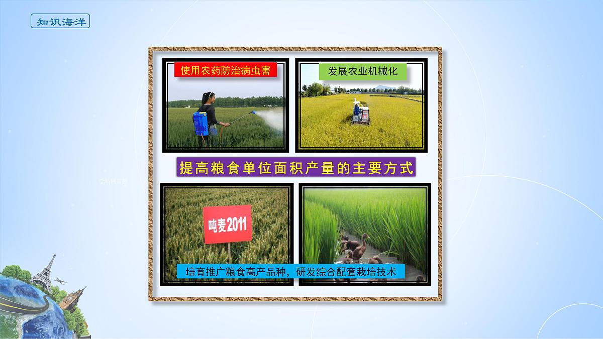 人教版高中地理 选择性必修3 2-3课件《中国的耕地资源与粮食安全》第5页