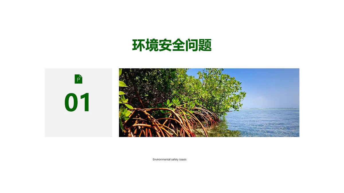 人教版高中地理 选择性必修3 3-1《环境安全对国家安全的影响》课件第5页