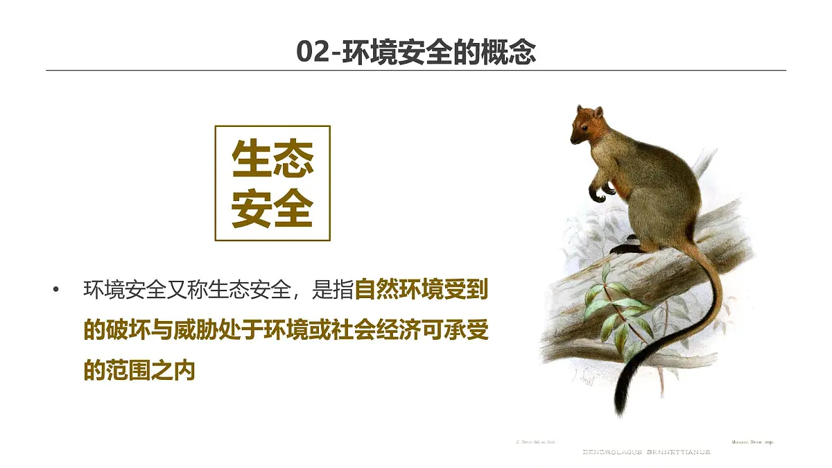 人教版高中地理 选择性必修3 3-1《环境安全对国家安全的影响》课件第7页