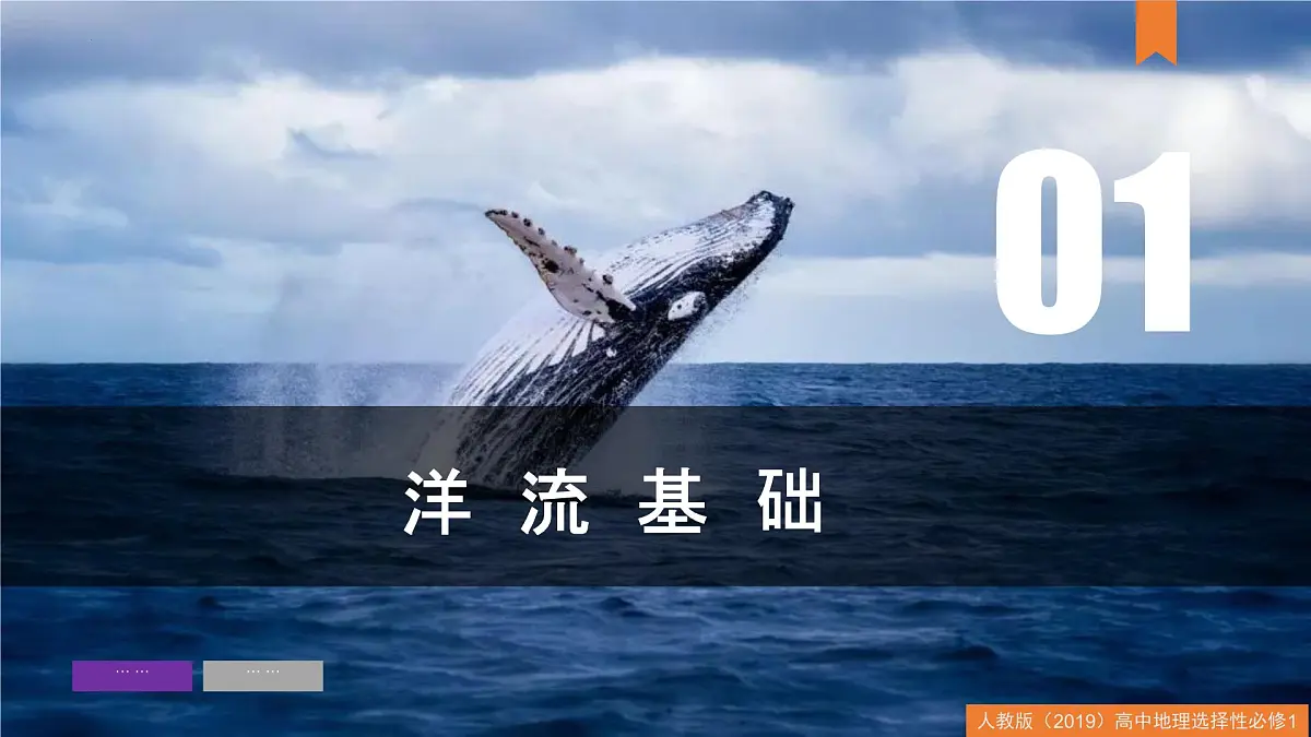 人教版高中地理 选择性必修1 4-2洋流-课件第7页