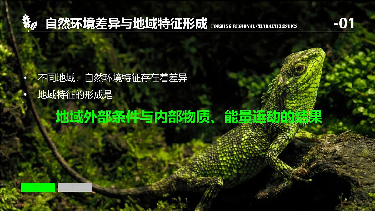 人教版高中地理 选择性必修1 5-2《自然环境的地域差异性》课件第5页