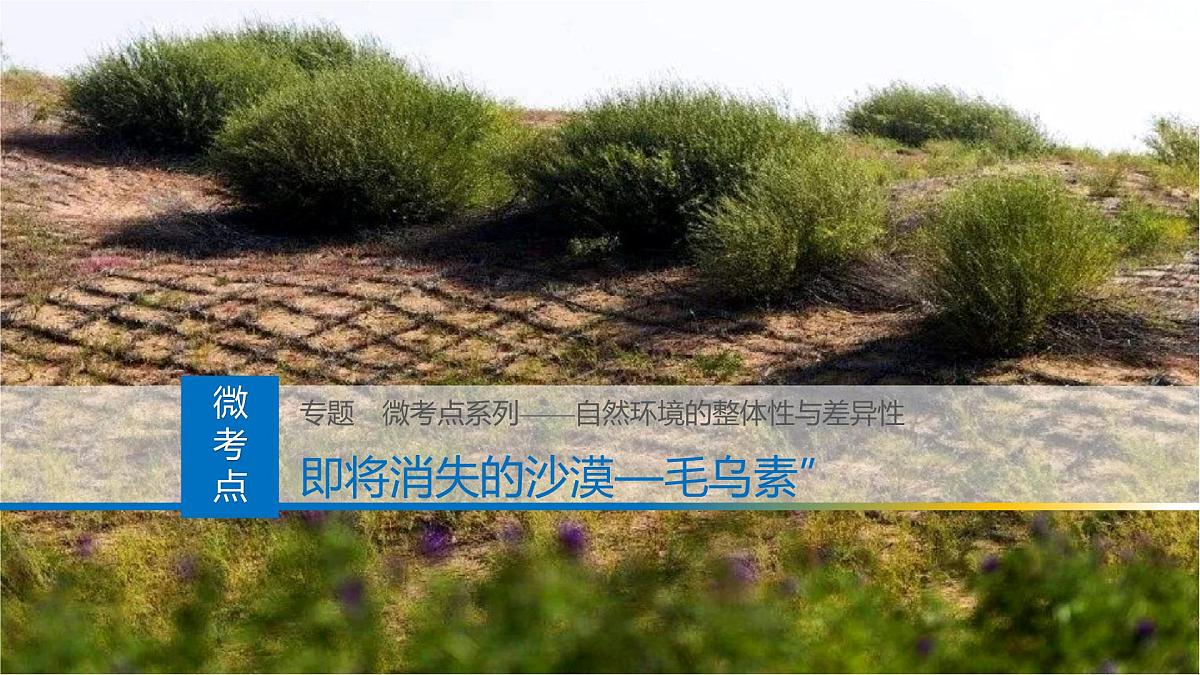 人教版高中地理选择性必修1 第五章复习课件-即将消失的沙漠—毛乌素”(整体性)第1页