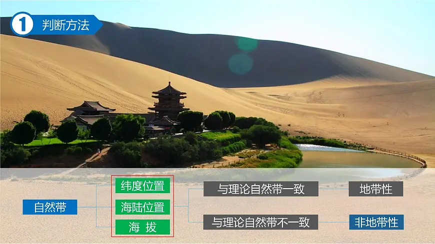 人教版高中地理选择性必修1 第五章复习课件-非地带性分异现象分析第6页