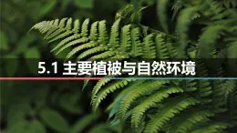 高中地理湘教版（2019）必修一5.1主要植被與自然環(huán)境課件