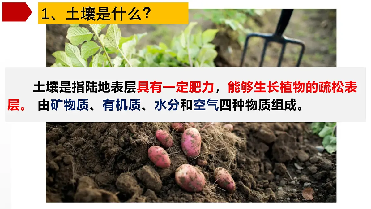 高三自然地理 一轮复习 土壤 课件第2页