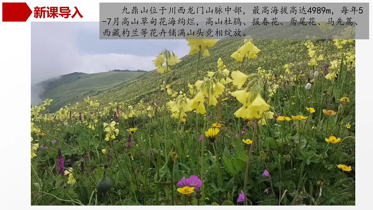 高三自然地理 一轮复习 土壤 课件第3页