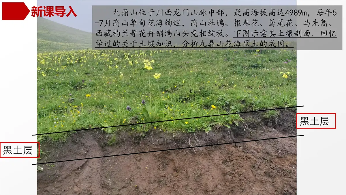 高三自然地理 一轮复习 土壤 课件第4页