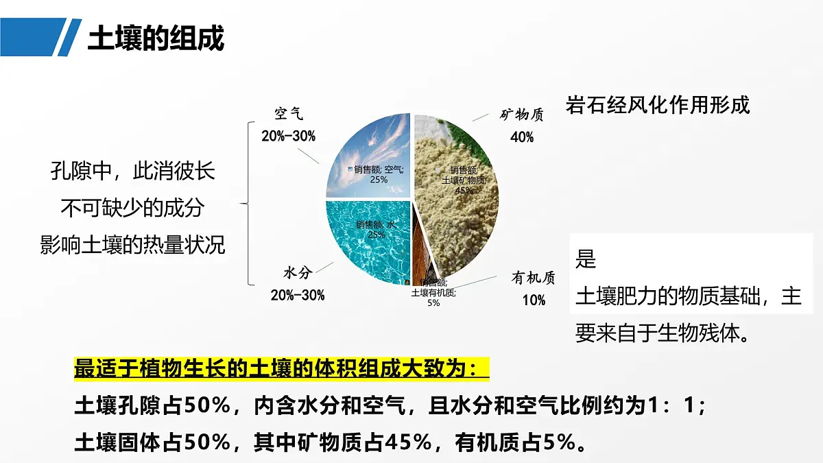 高三自然地理 一轮复习 土壤 课件第5页