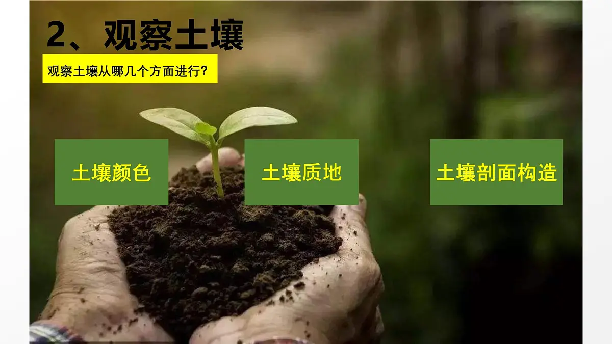 高三自然地理 一轮复习 土壤 课件第6页