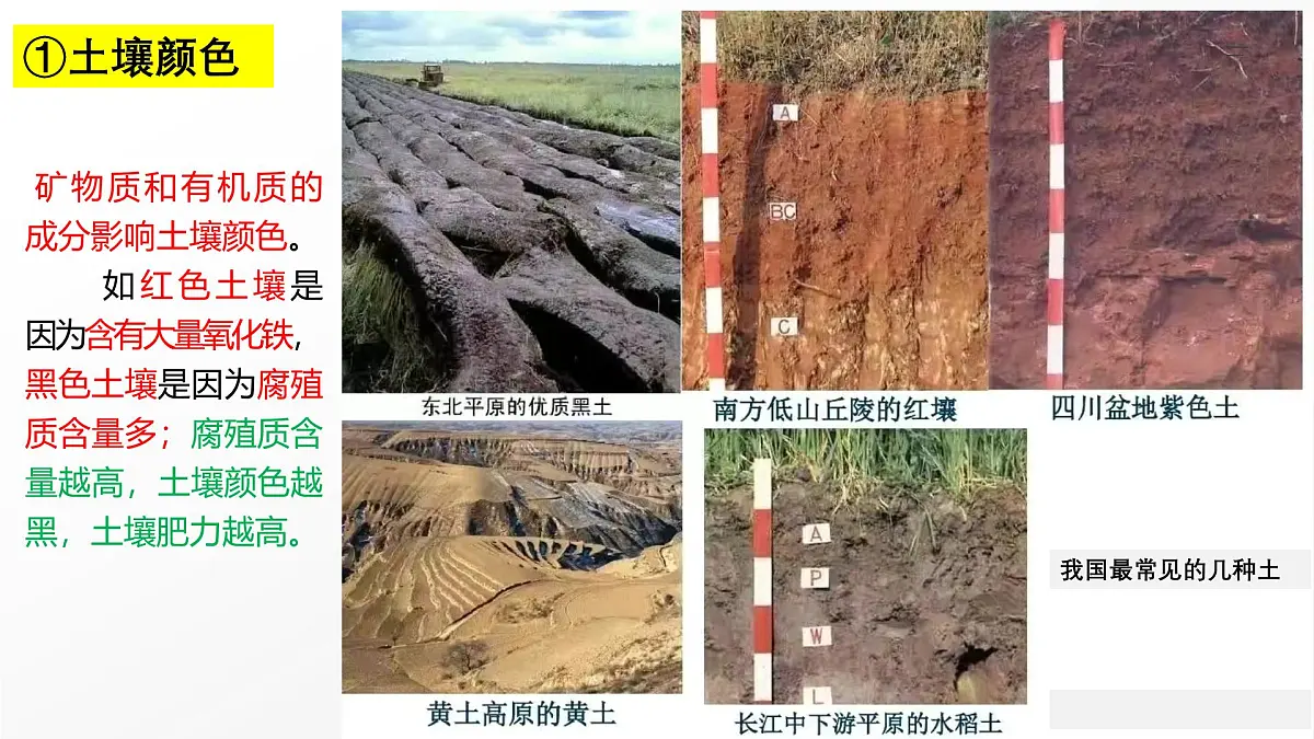 高三自然地理 一轮复习 土壤 课件第7页