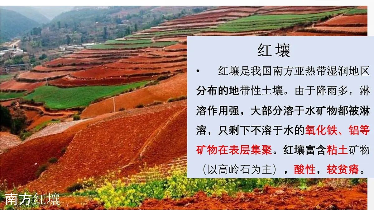 高三自然地理 一轮复习 土壤 课件第8页