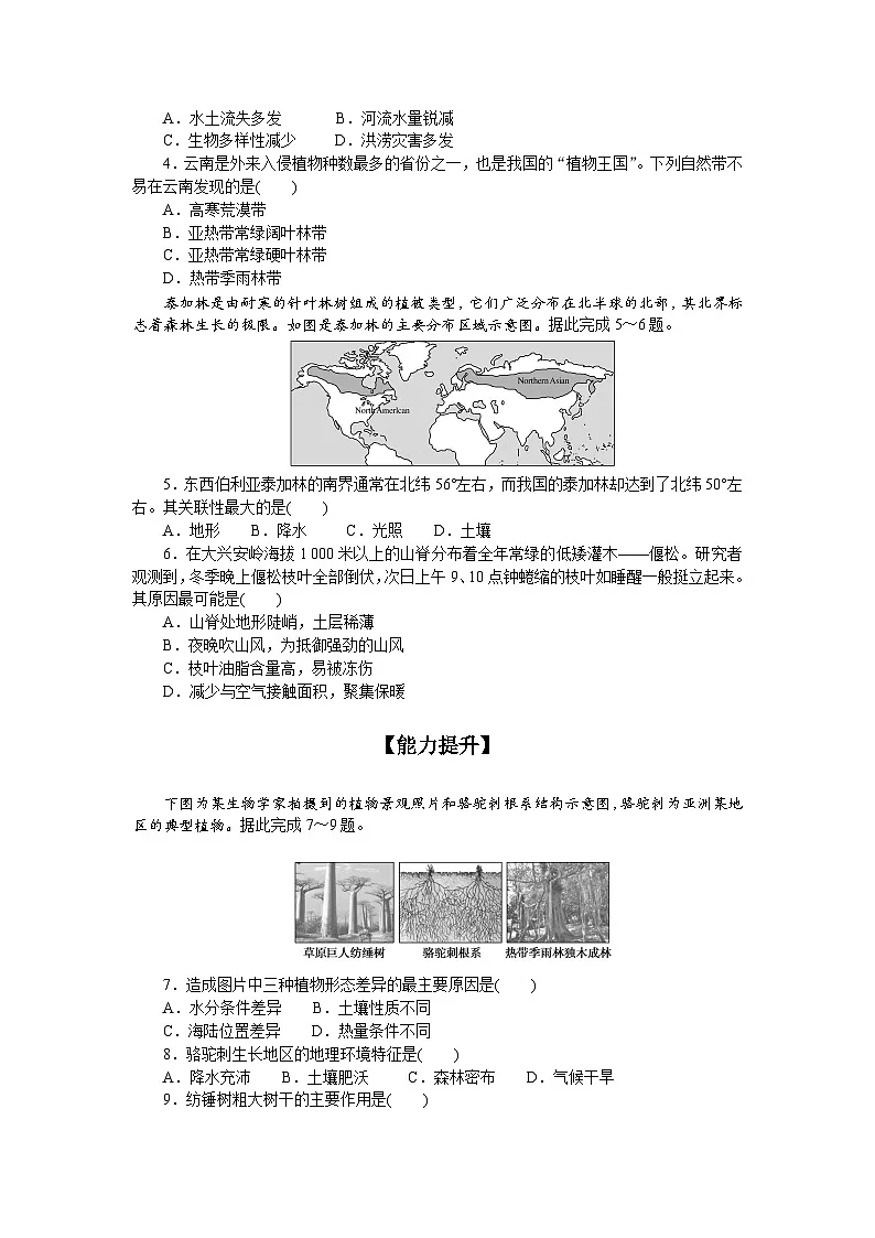 6.鲁教版地理必修第一册-生物圈与植被-课后作业提升+答案第2页