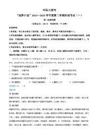 河南省驻马店市环际大联考2024-2025学年高二下学期3月阶段考试（一）地理试卷（Word版附解析）