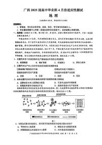 地理丨广西壮族自治区2025届高三下学期4月高中毕业班适应性测试（跨市三模）地理试卷及答案