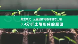 3.4分析土壤形成的原因課件 高中地理魯教版必修一