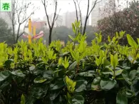 人教版 (新課標)高中地理必修1 5-1課件-《自然地理環(huán)境的整體性》