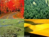 人教版 (新課標)高中地理必修1 5-2《自然地理環(huán)境的差異性》知識梳理課件