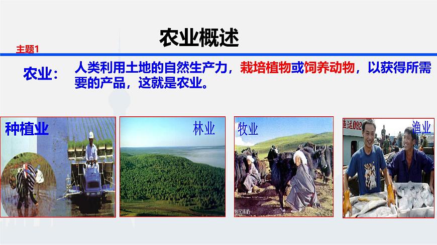 人教版 (新课标)高中地理必修2 3-1课件-《农业的区位选择》第5页