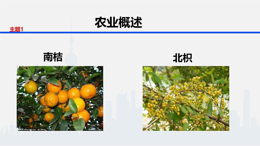 人教版 (新课标)高中地理必修2 3-1课件-《农业的区位选择》第7页