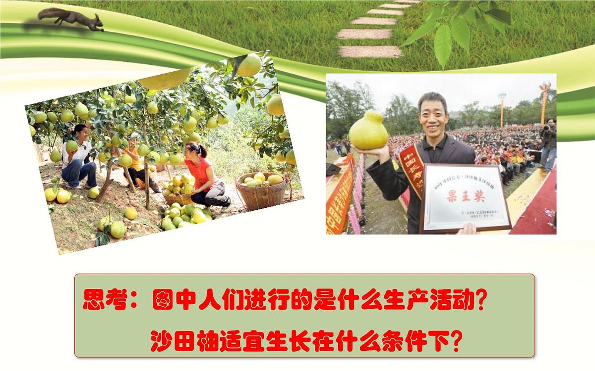 人教版 (新课标)高中地理必修2 3-1课件-《农业的区位选择》第2页