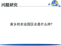 高中地理人教版 (新课标)必修2家乡的农业园区会是什么样课文配套课件ppt