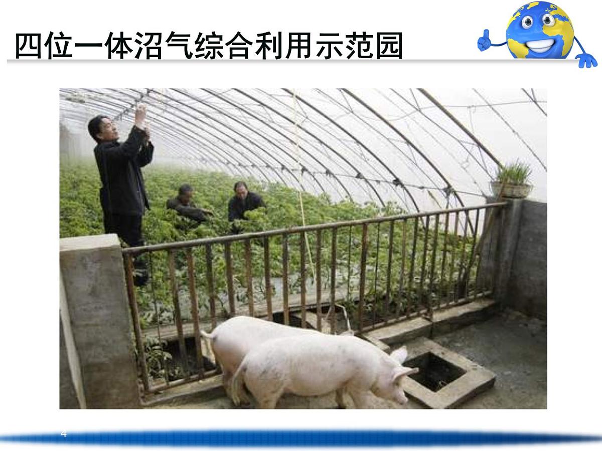 人教版 (新课标)高中地理必修2 第三章课件-《问题研究_家乡的农业园区会是什么样》第4页