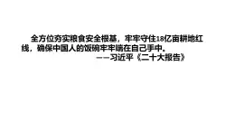 《耕地資源與國(guó)家糧食安全》課件 湘教版高中地理選擇性必修3