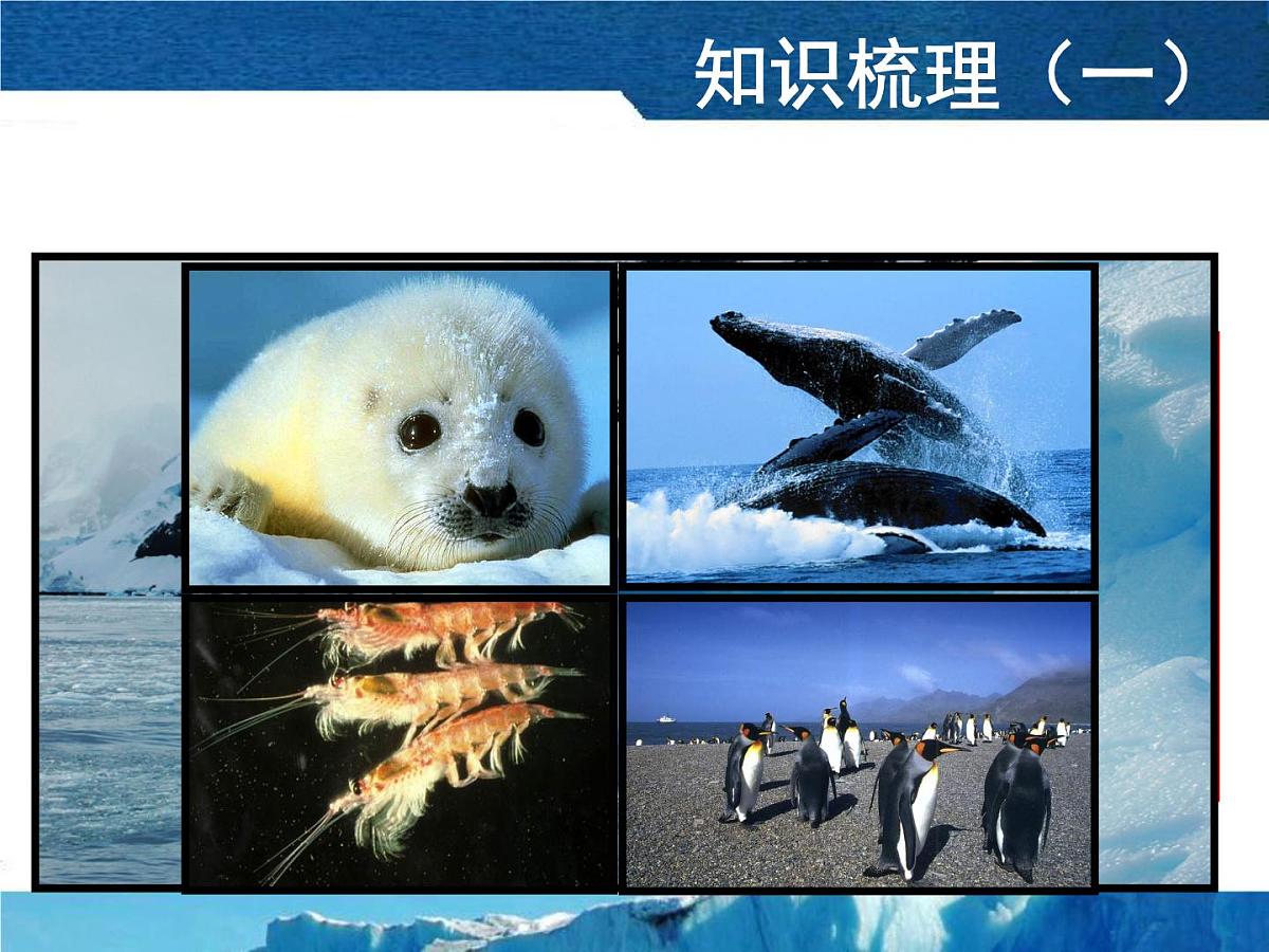 人教版 (新课标)高中地理必修1 第三单元课件-《问题研究__能否利用南极冰山解决沙特阿拉伯的缺水问题》第5页