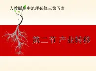 人教版 (新課標(biāo))高中地理必修三 5-2課件-《產(chǎn)業(yè)轉(zhuǎn)移-以東亞為例》