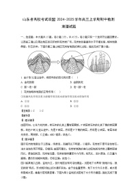 山东省名校考试联盟2024-2025学年高三上学期期中检测地理试题(解析版)
