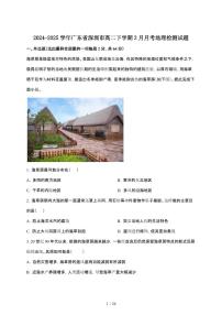 2024_2025学年 广东深圳高二第二学期3月月考地理试卷[附解析]