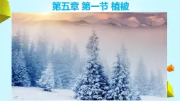 人教版 2019 高中地理必修一5.1 植被課件 PPT