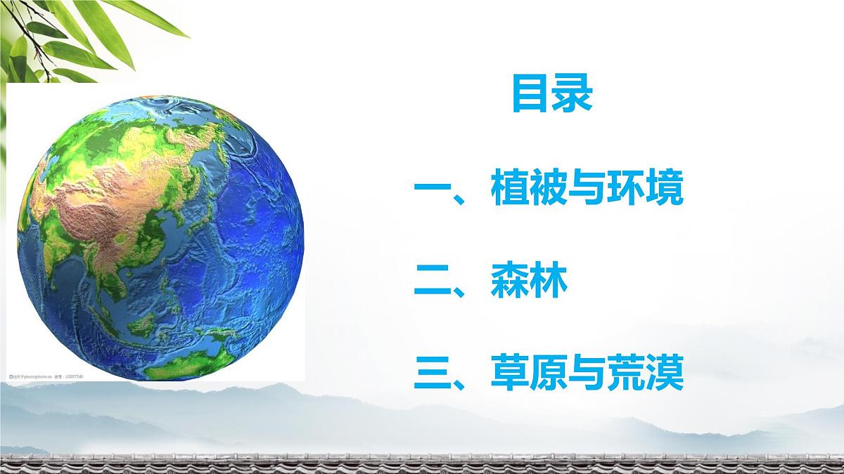 人教版 2019 高中地理必修一5.1 植被课件 PPT第5页